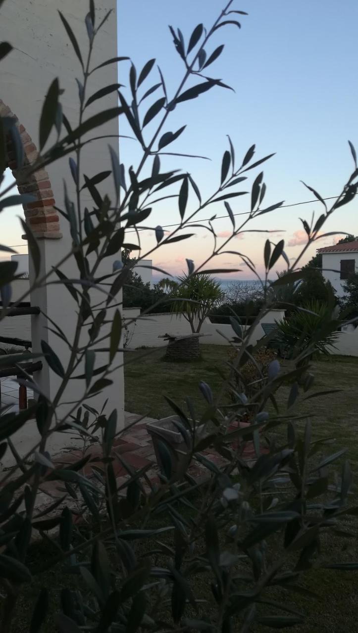 Villa Dolly Porto Columbu - Perd'E Sali Екстериор снимка